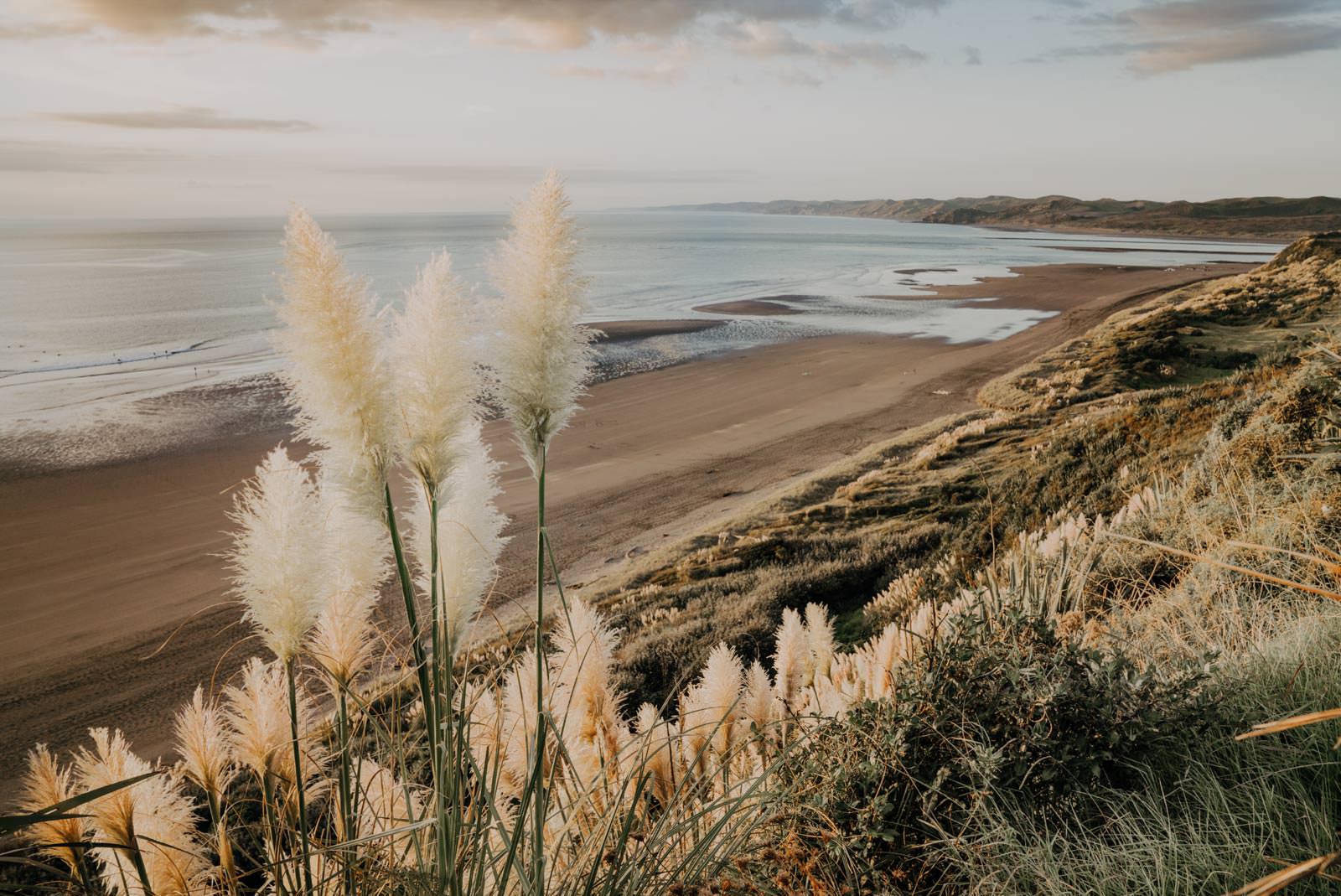 Raglan Wedding Collective